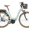 Riese & Müller Riese&Müller Swing Silent 500Wh Salvia Matt 2023 -Matrix Fahrrad Geschaft image 132