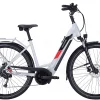 Pegasus Solero Evo 9 Tiefeinsteiger 625Wh Cool Grey -Matrix Fahrrad Geschaft image 148