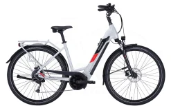 Pegasus Solero Evo 9 Tiefeinsteiger 625Wh Cool Grey