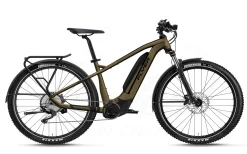 Flyer Goroc2 2.10 LE HT Brass/Black 750Wh