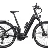 Zemo ZE FS 12 Tiefeinsteiger 625Wh Black Matt -Matrix Fahrrad Geschaft image 155