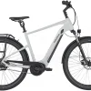 Pegasus SAVINO EVO 5F PERFORMANCE 625Wh Light Grey Shiny -Matrix Fahrrad Geschaft image 177