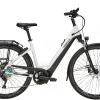 Pegasus Premio Evo 10 Lite Tiefeinsteiger 750Wh Metallic Off-white/black Matt 2 Pegasus Premio Evo 10 Lite Tiefeinsteiger 750Wh Metallic Off-white/black Matt -Matrix Fahrrad Geschaft image 197