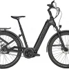 Zemo SU-E 5F Tiefeinsteiger 625Wh Black Matt -Matrix Fahrrad Geschaft image 214