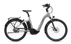 Flyer Gotour4 5.01R 26" Tiefeinsteiger 630Wh Cast Silver Gloss