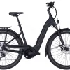 Pegasus Strong Evo 12 Lite Tiefeinsteiger 750Wh Black Matt -Matrix Fahrrad Geschaft image 219