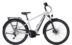 Pegasus Savino Evo 10 CX Diamant 625Wh Light Grey