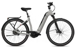 Flyer GoTour6 7.03 Wave Silver Gloss 625Wh