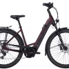 Pegasus Strong Evo 10 Lite Tiefeinsteiger 625Wh Dark Red Matt/black Matt 2 Pegasus Strong Evo 10 Lite Tiefeinsteiger 625Wh Dark Red Matt/black Matt -Matrix Fahrrad Geschaft image 289