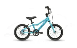 Academy Grade 2 Belt 14-1 Ocean