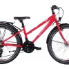 Mammut Sport 21K 24" Trapez Raspberry Red 2023 -Matrix Fahrrad Geschaft image 407