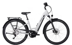 Pegasus Savino Evo 10 CX Tiefeinsteiger 625Wh Light Grey